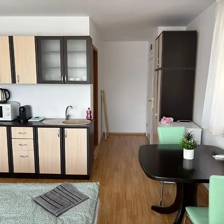 Private 171 In Prestige Апарт-отель Свети-Влас